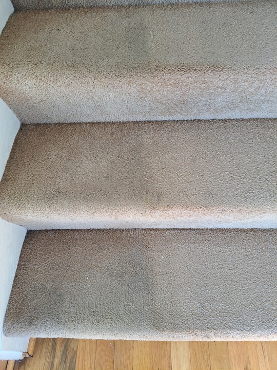 Images Joe Steamer Carpet Cleaner Inc