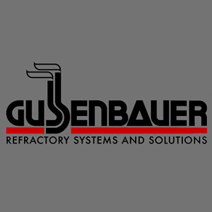 Gussenbauer L & Sohn Spezialbauunternehmung GmbH Logo