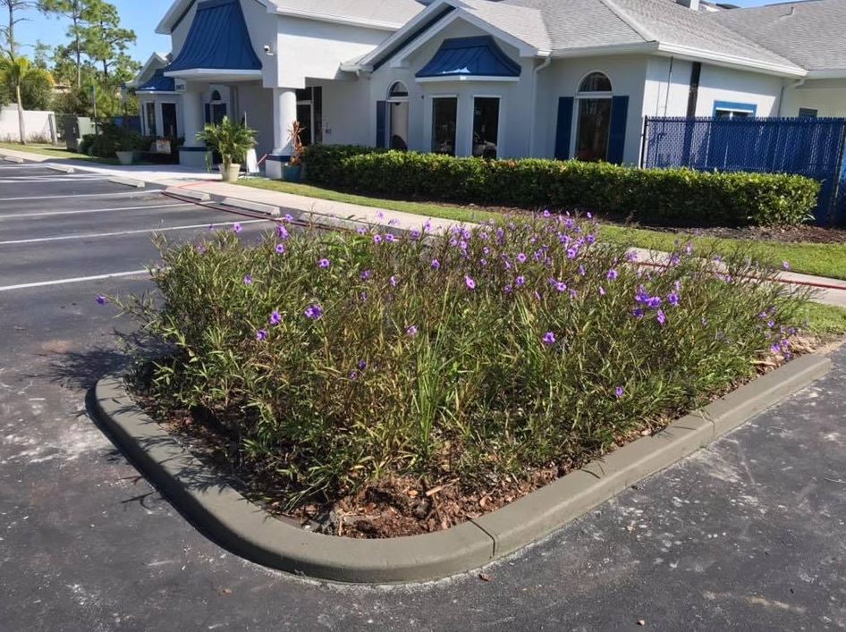 Surface Pro Concrete Solutions Image