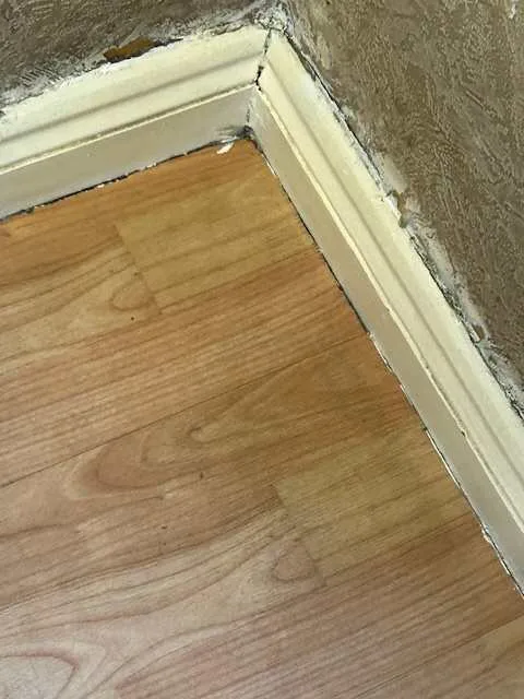 Images Ambiente FM Ltd