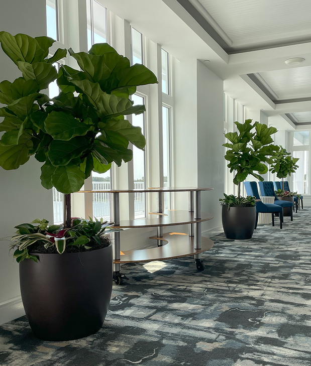 Images Coastal Interiorscapes