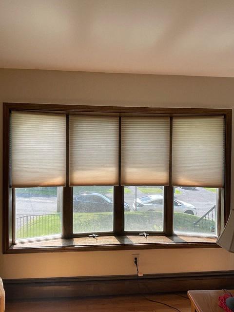 Kid-friendly, convenient to use, affordable, and stylish, our Honeycomb Shades are the ideal finishing touch to any window and room decor. Can you picture how gorgeous these Shades would look in your house in Albany?