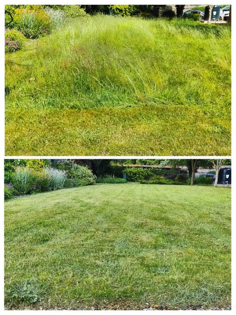 Images Clarke's Garden Care