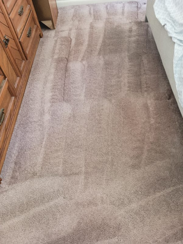 Images All Steamed Up Carpet Cleaning