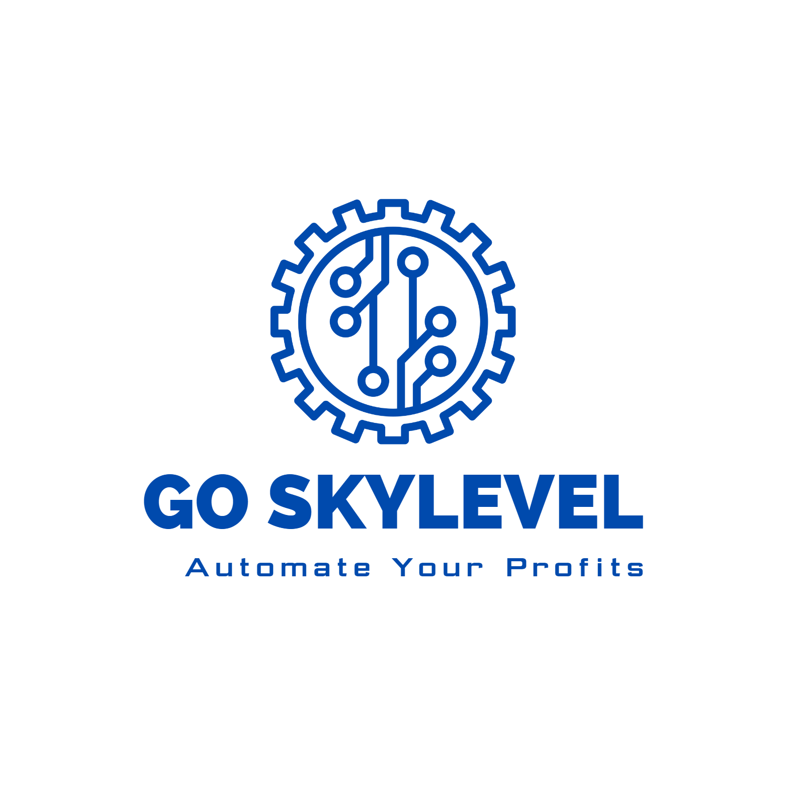 Go SkyLevel Logo