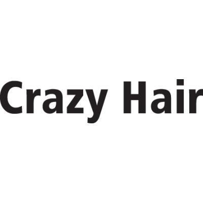Logo Crazy Hair