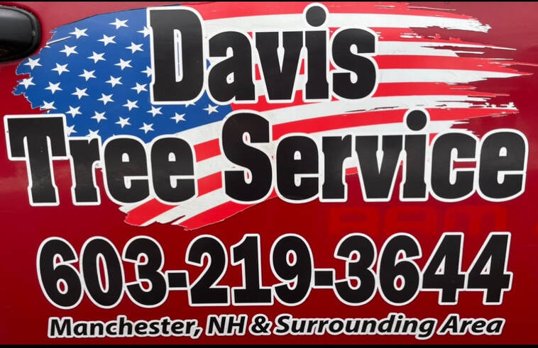 Image 3 | Davis Tree Service