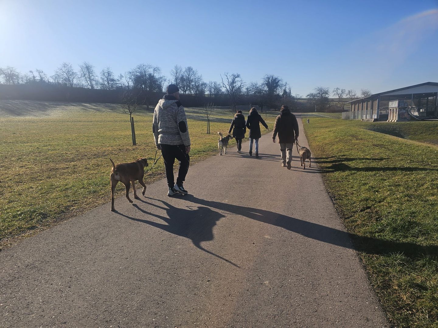 PAWtner Hundetraining Sabrina Rösch, Am Tiefenbach 10 in Ilsfeld