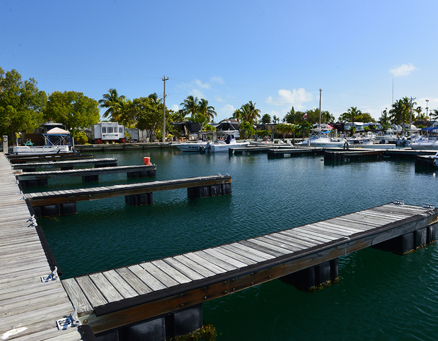 Images Sunshine Key RV Resort and Marina