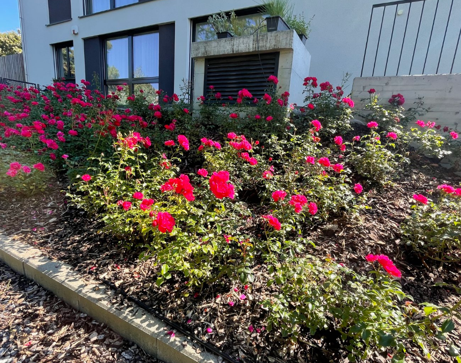 Bilder AZ Garten+Haus Service GmbH