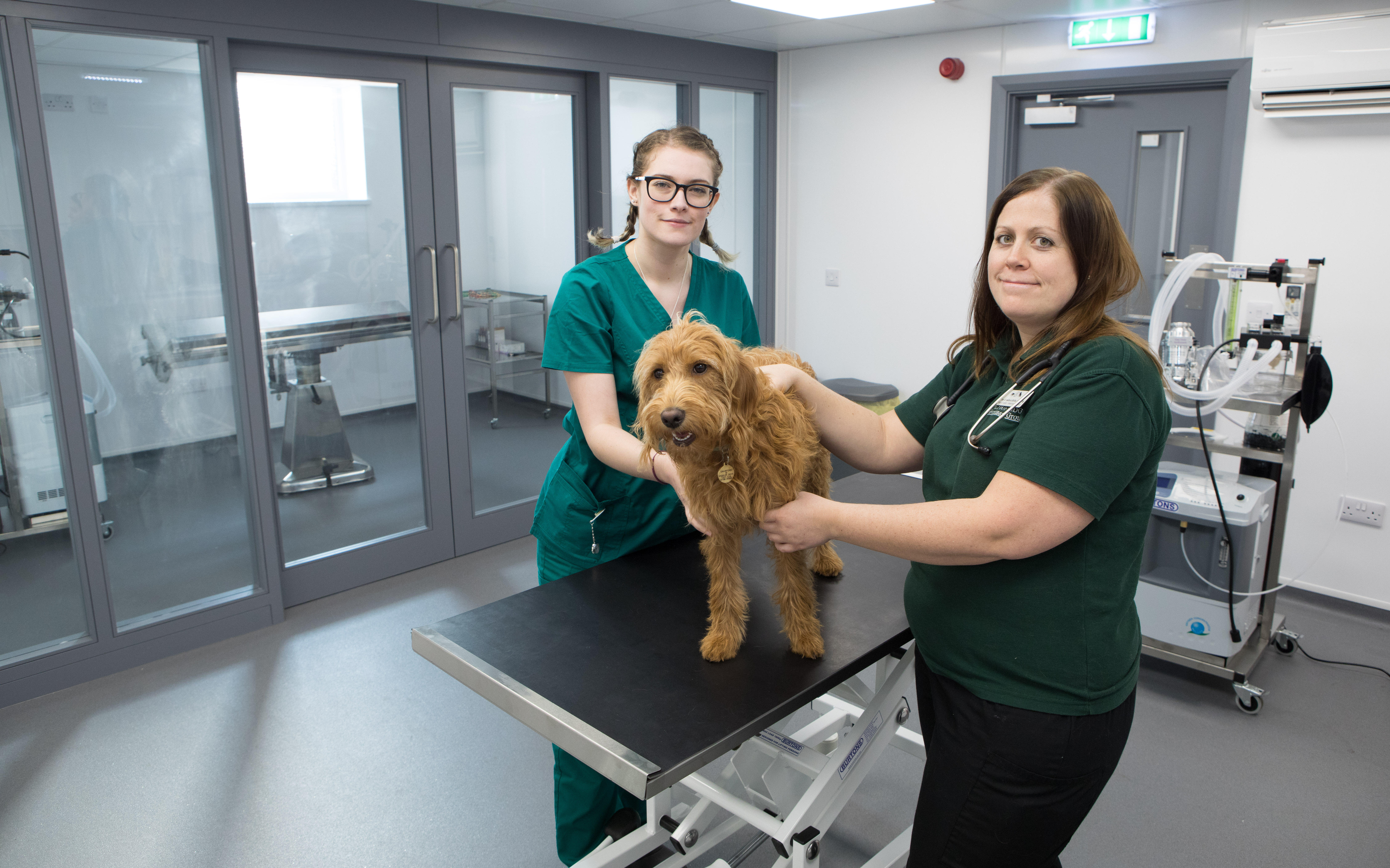 Images Clifton Lodge Veterinary Group, Horden