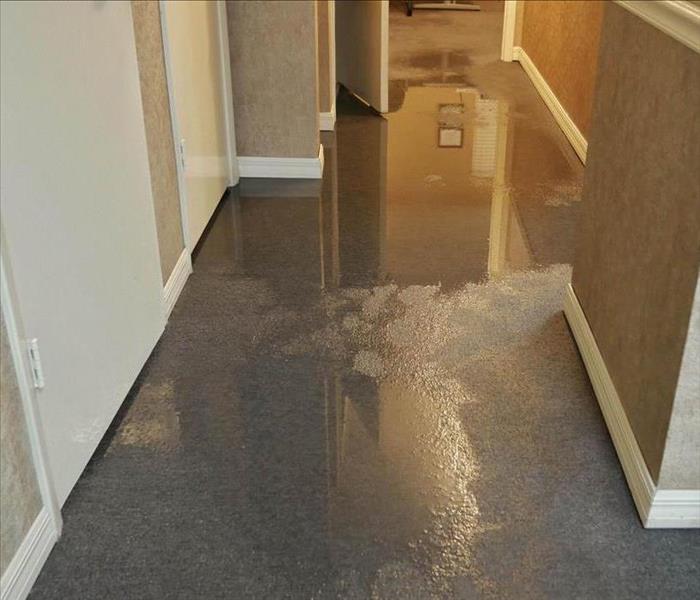 Water Loss in a Tallahassee Office