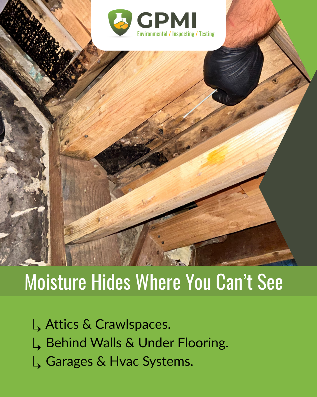 Attic or crawlspace inspection photo showing exposed wood framing, insulation, and possible moisture-related mold concerns.