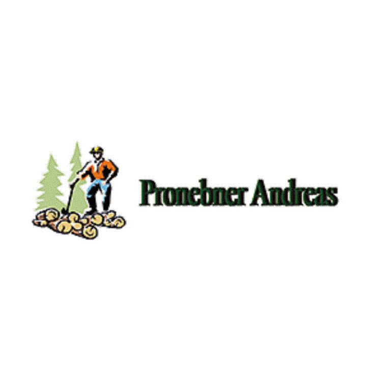 Andreas Pronebner Logo