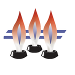 Ballard Natural Gas Service Logo