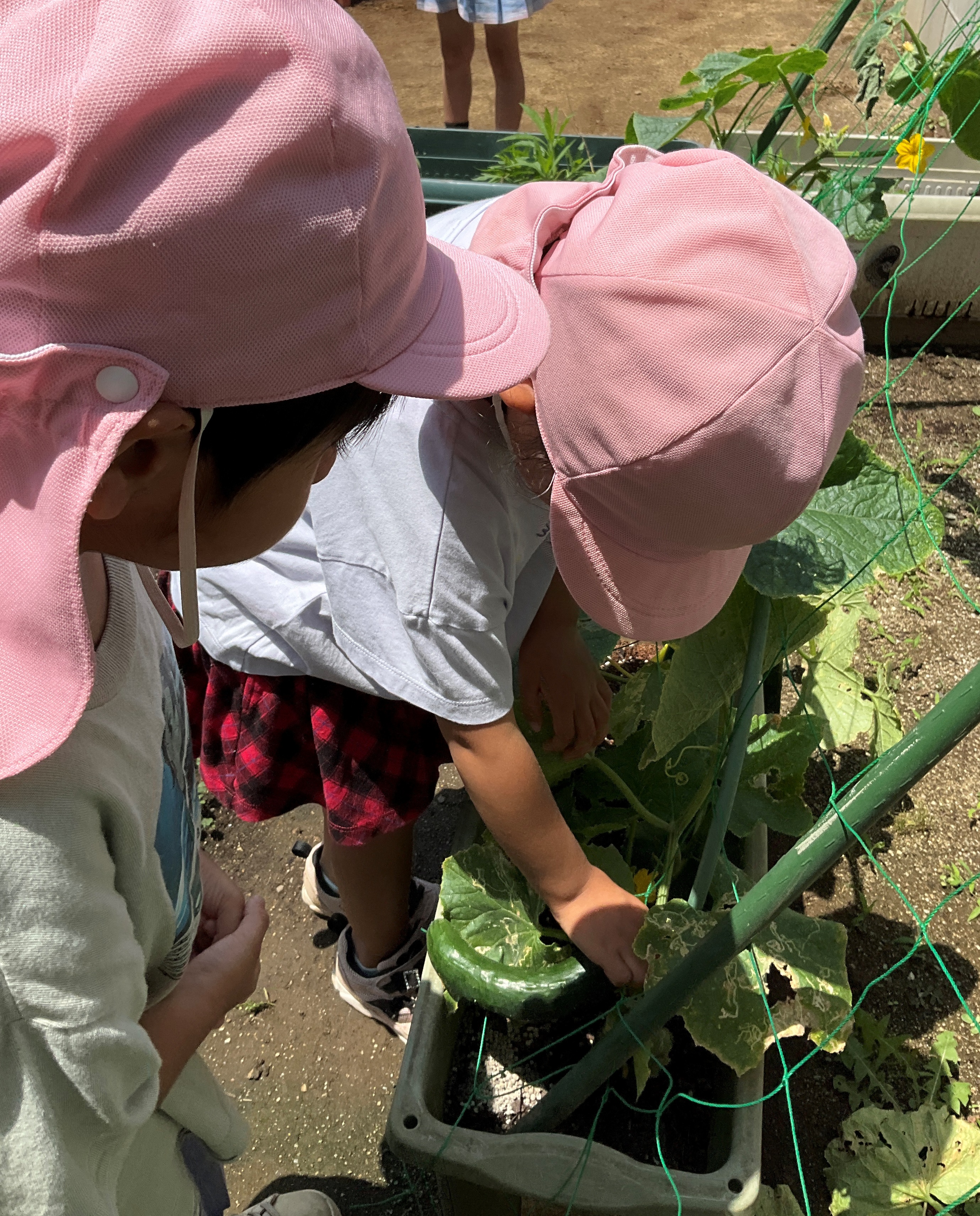 Images 船橋法典すきっぷ保育園