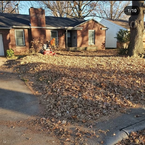 Images Cooks Lawn Care Service