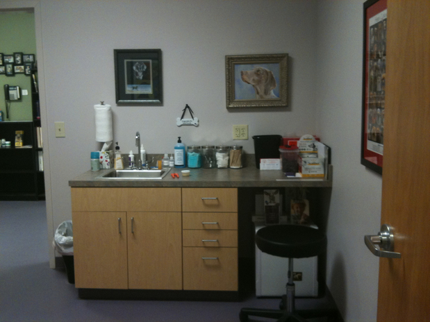 Images All Pets Veterinary Center