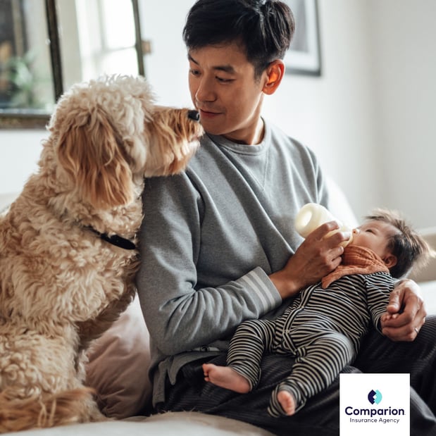 Images Iestyn Llyr Dulais at Comparion Insurance Agency