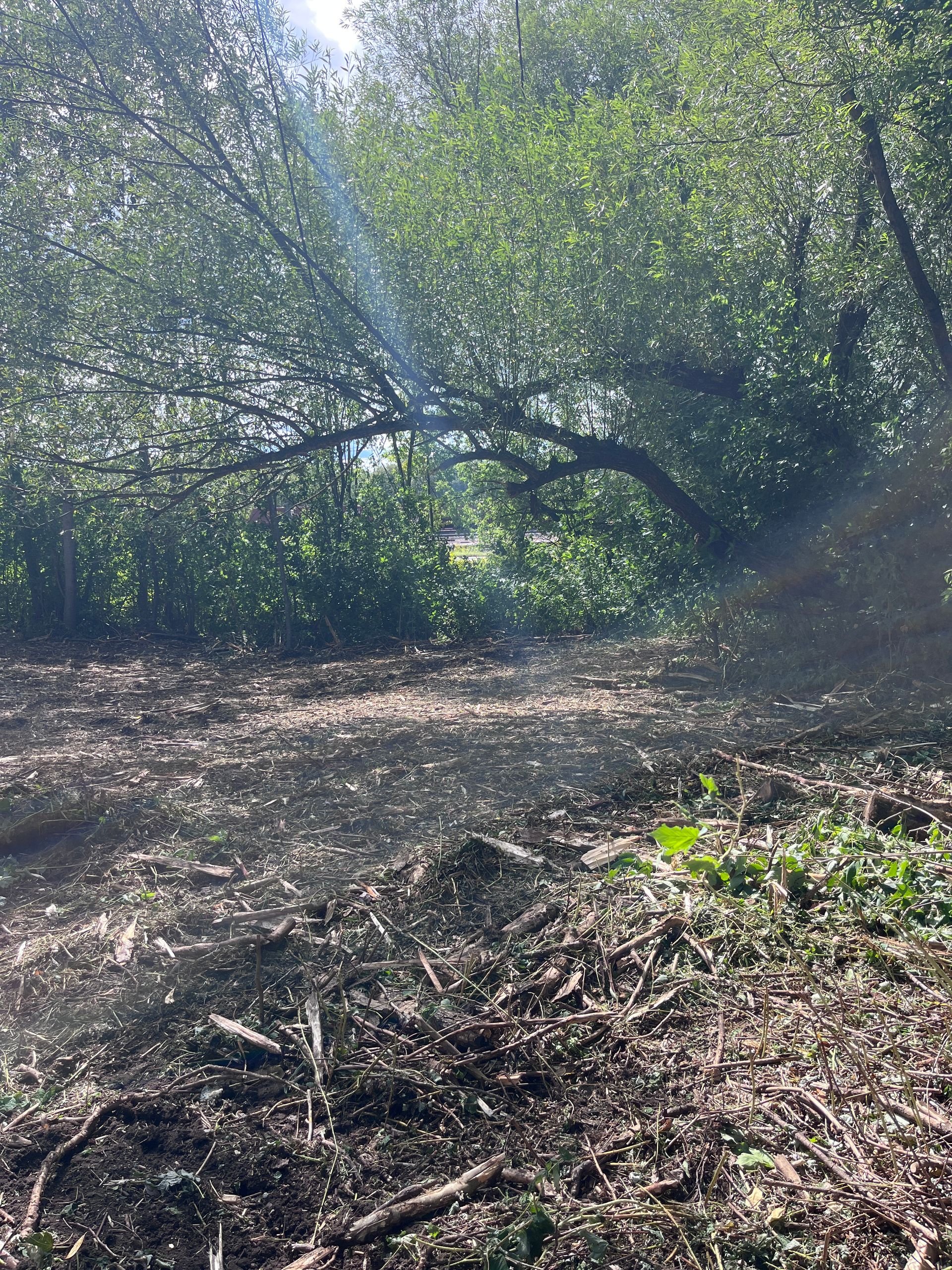 First Cut Landworks