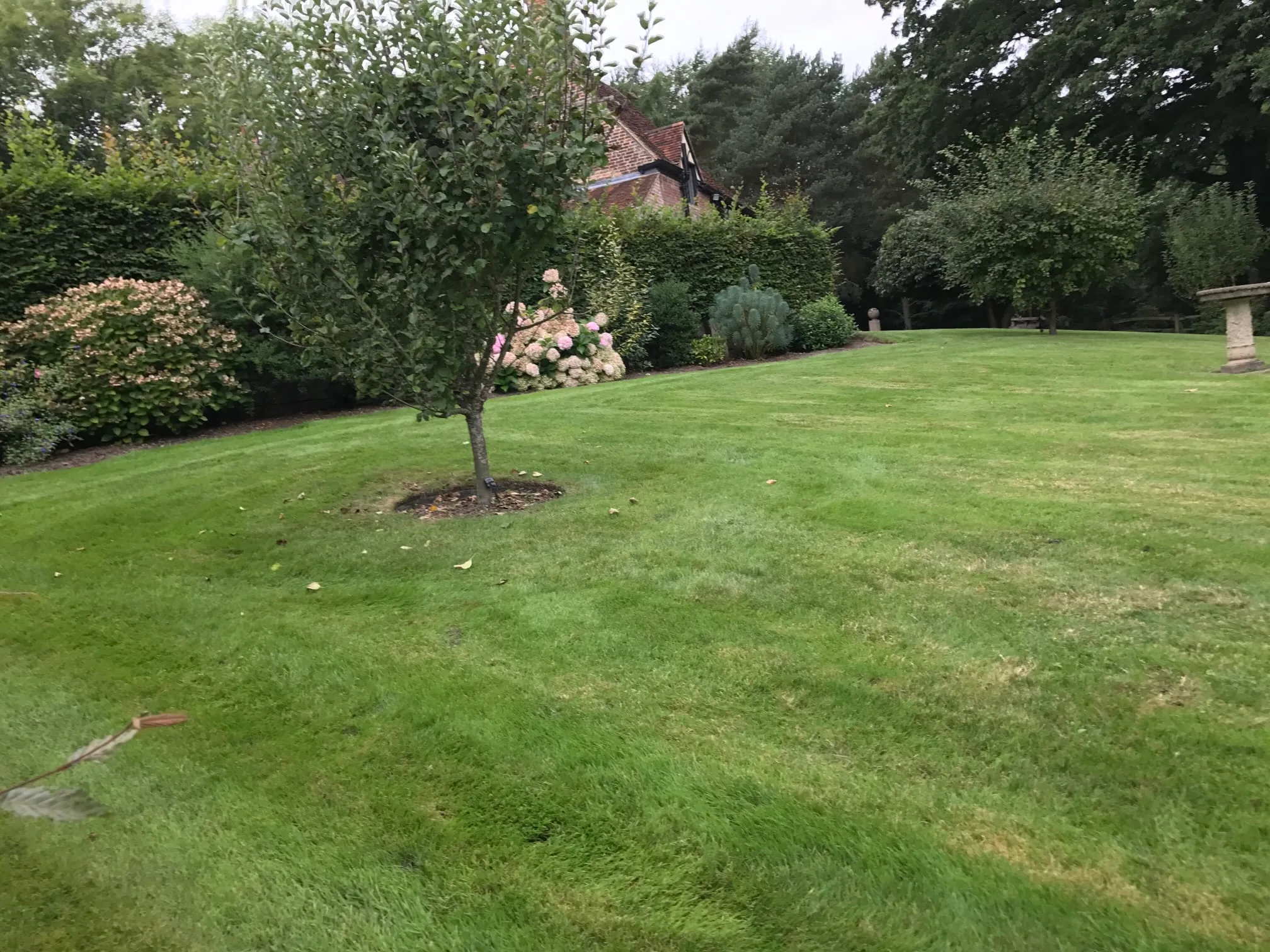 Images Prostyle Gardening & Home Services