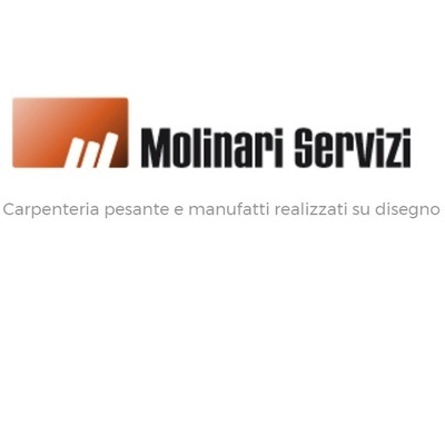 Molinari Servizi S.r.l. Logo