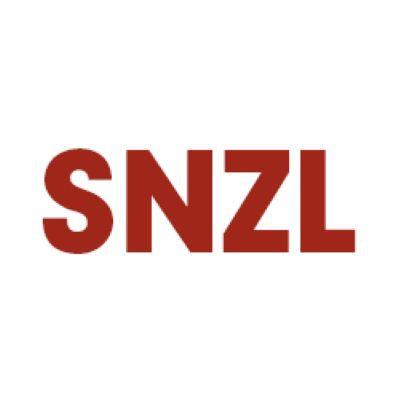 SNZ Locksmith Logo