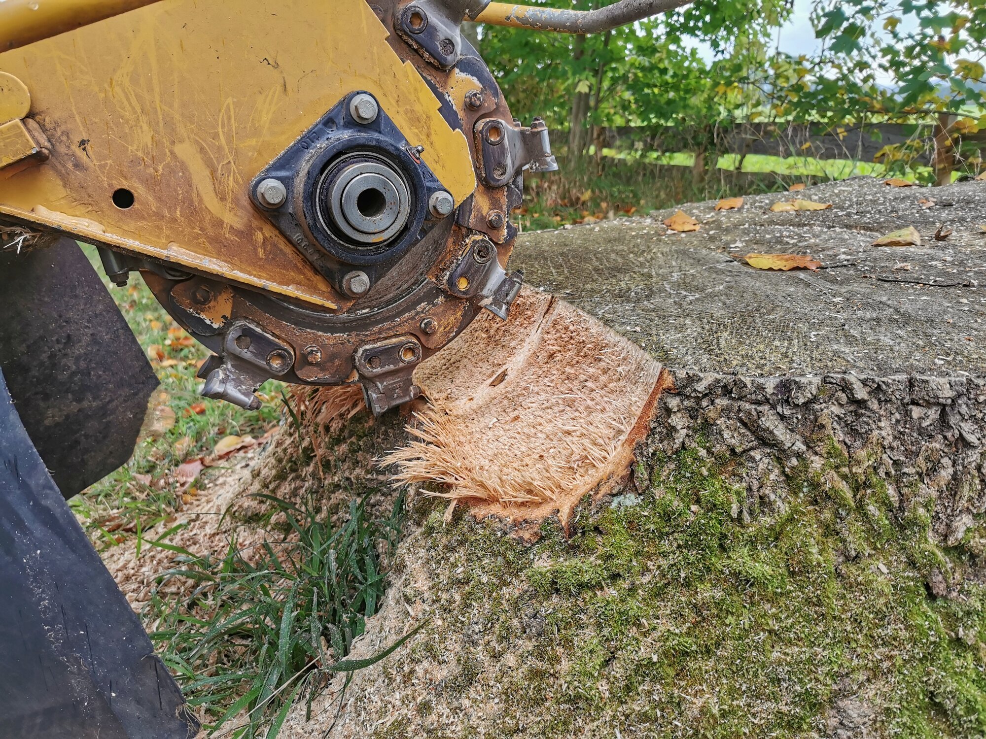 Baumstumpffräsen Tobias Baier, Mangfallstraße 16B in Bad Aibling