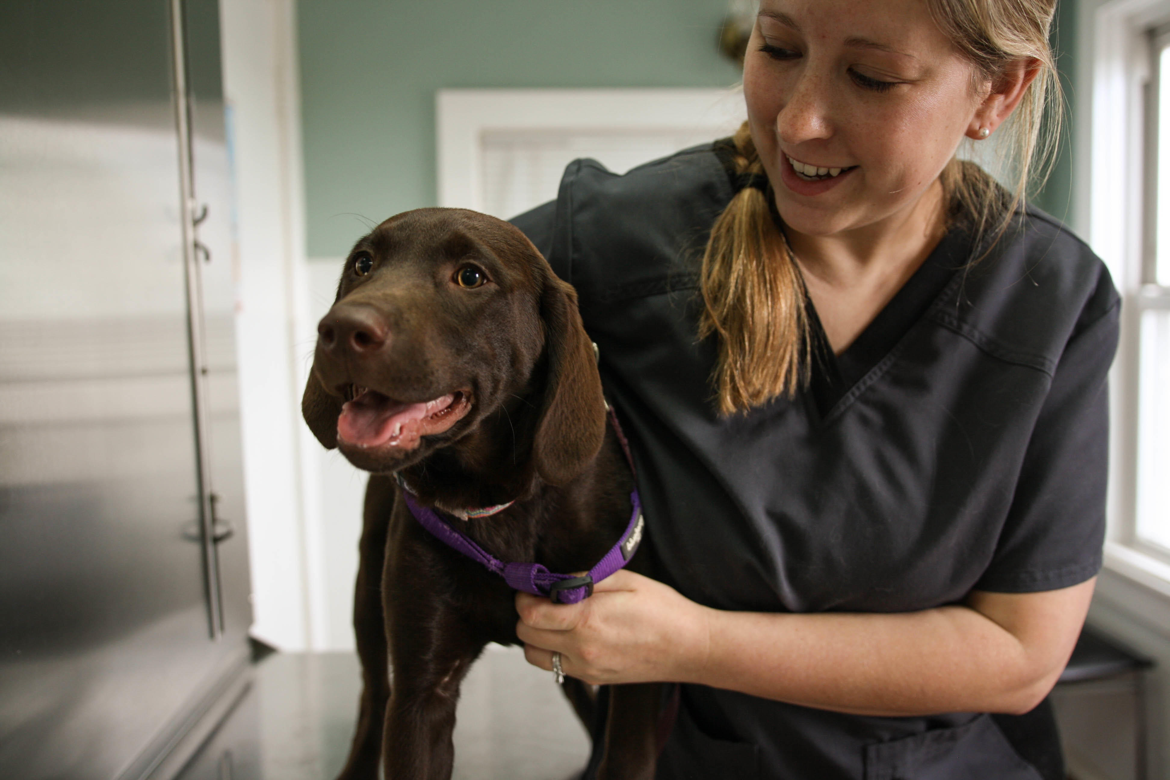 Our vet techs are not only very well trained, they’re also doing what they love. That is why we trust them completely to provide the best, most compassionate care possible every single time.