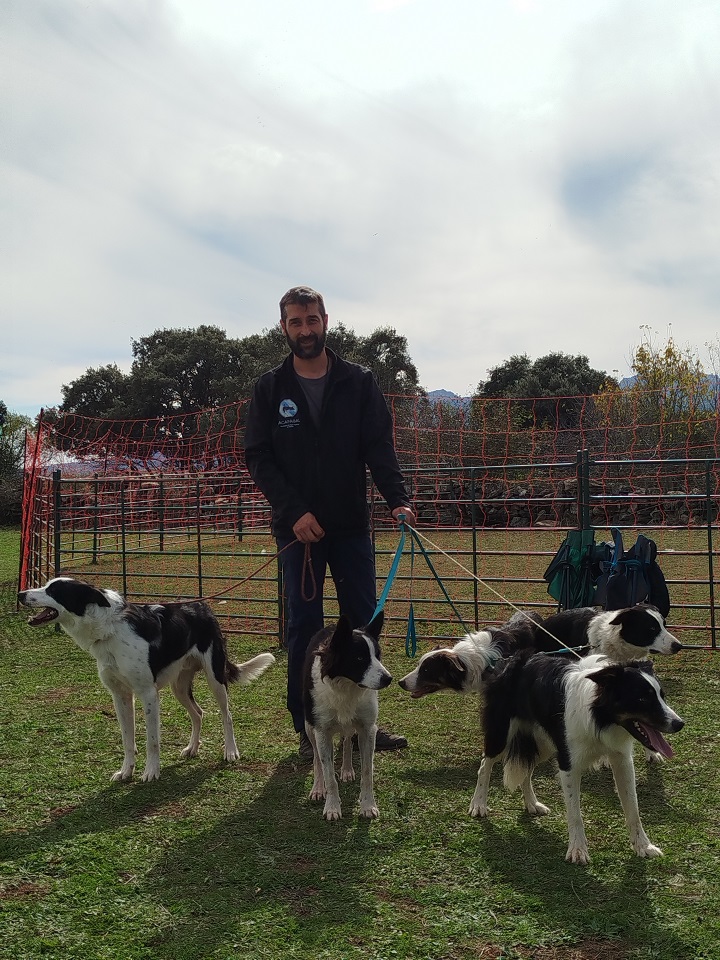 Images OCAN educación y actividades caninas