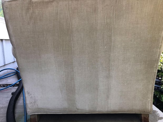 Images Zest Carpet Cleaning