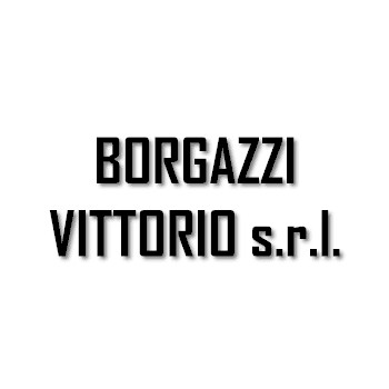Borgazzi Vittorio Impresa Edile Logo