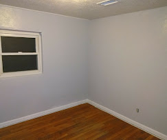 Aragon's Pro Painting Image