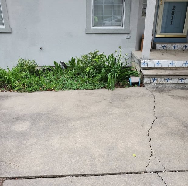 Images Cooks Lawn Care Service