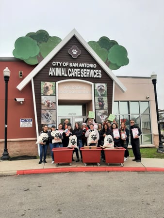 Images VCA Oak Hills Animal Hospital