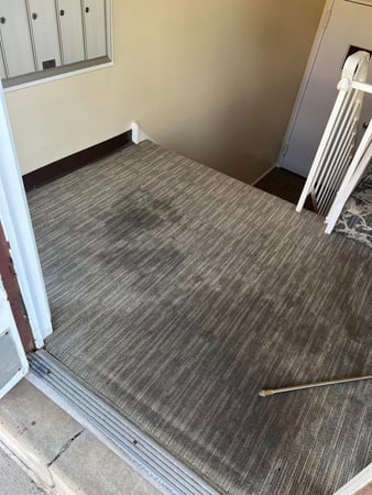 Images Premier Professional Cleaning Service