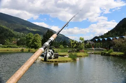 Bild 6 von Kärnten Fisch -  Fischzucht Feld am See GmbH