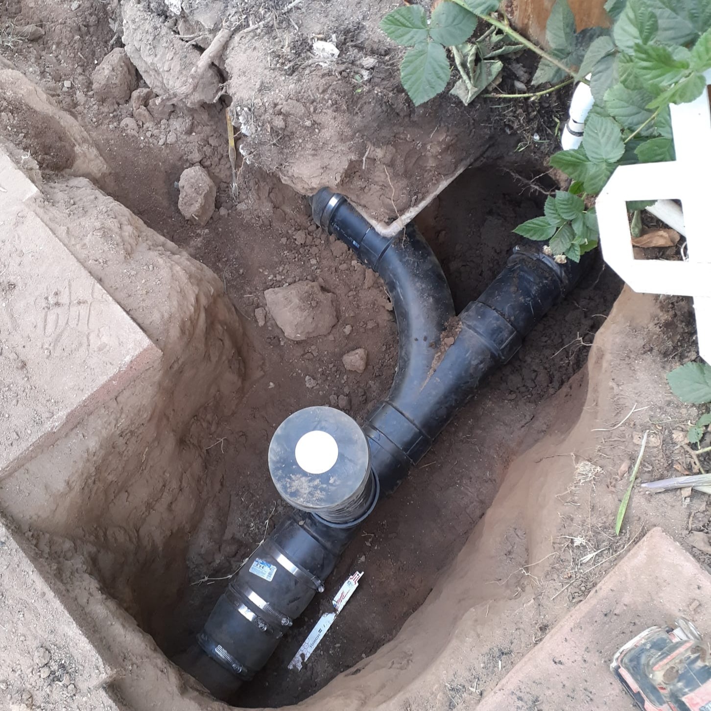 Roots slowing down drains? Call the team!