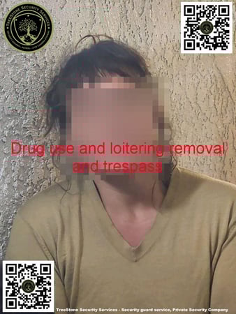 Images TreeStone Security Services