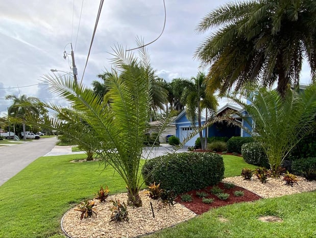 Images Area's Best Landscape Design & Irrigation