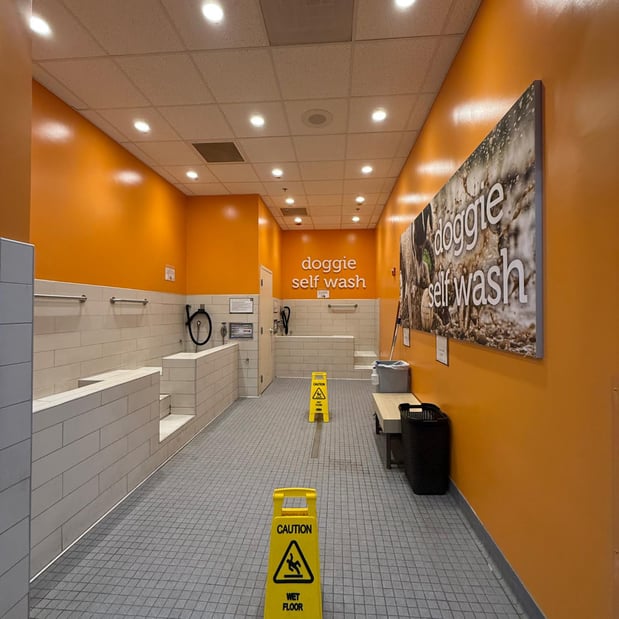 Images Petco Grooming