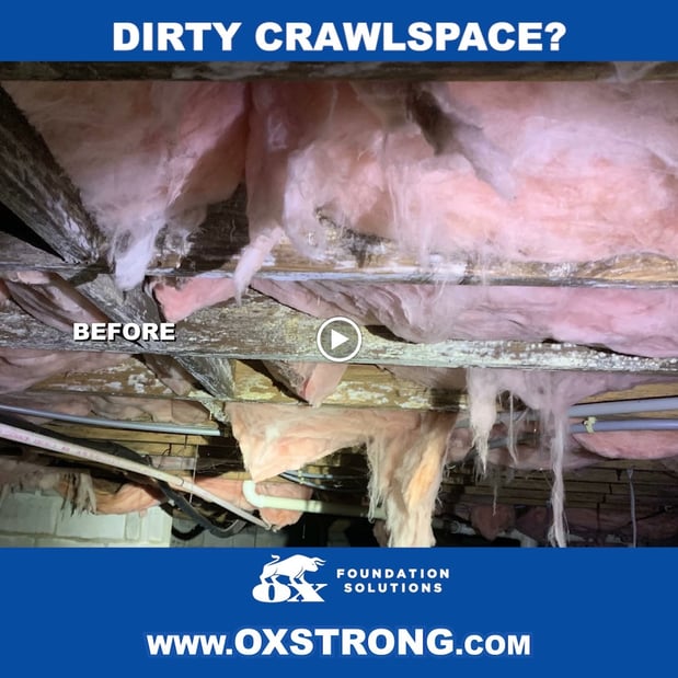 Images Ox Foundation Solutions