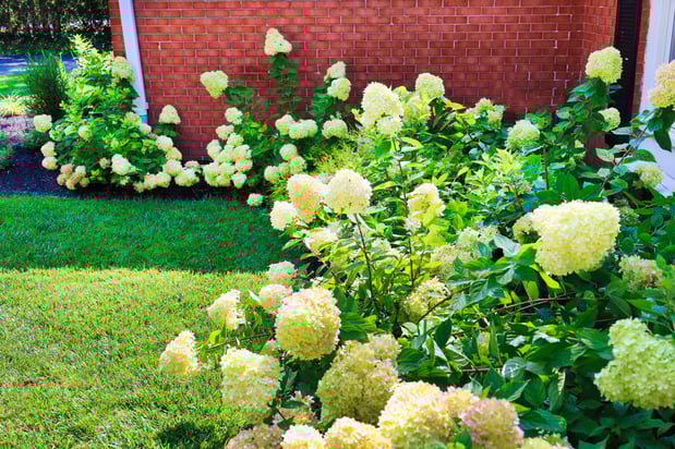 Images Oakwood Lawn & Landscaping