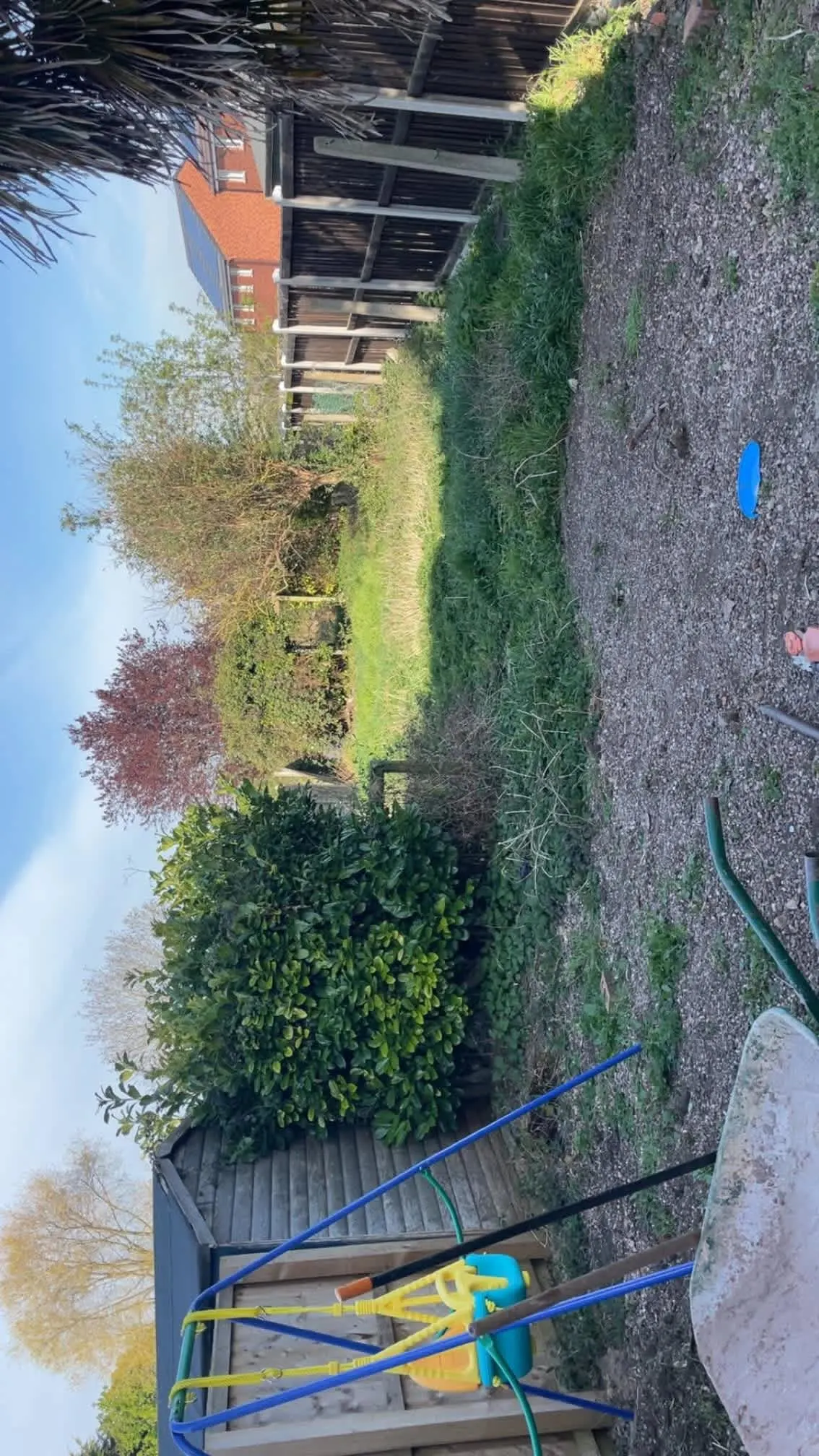 Images Oakwood Tree & Landscaping Services