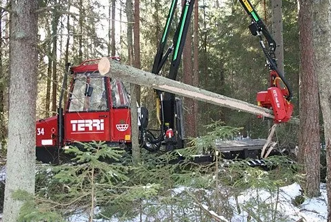 Images Kutajoen Metsärengit Ky