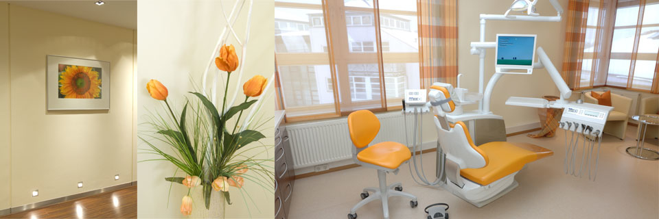 Zahnarzt Dr.med.dent Christian Hien, Franz-von-Taxis-Ring 53 in Regensburg