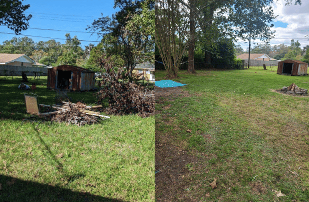 Images Magana Tree Service