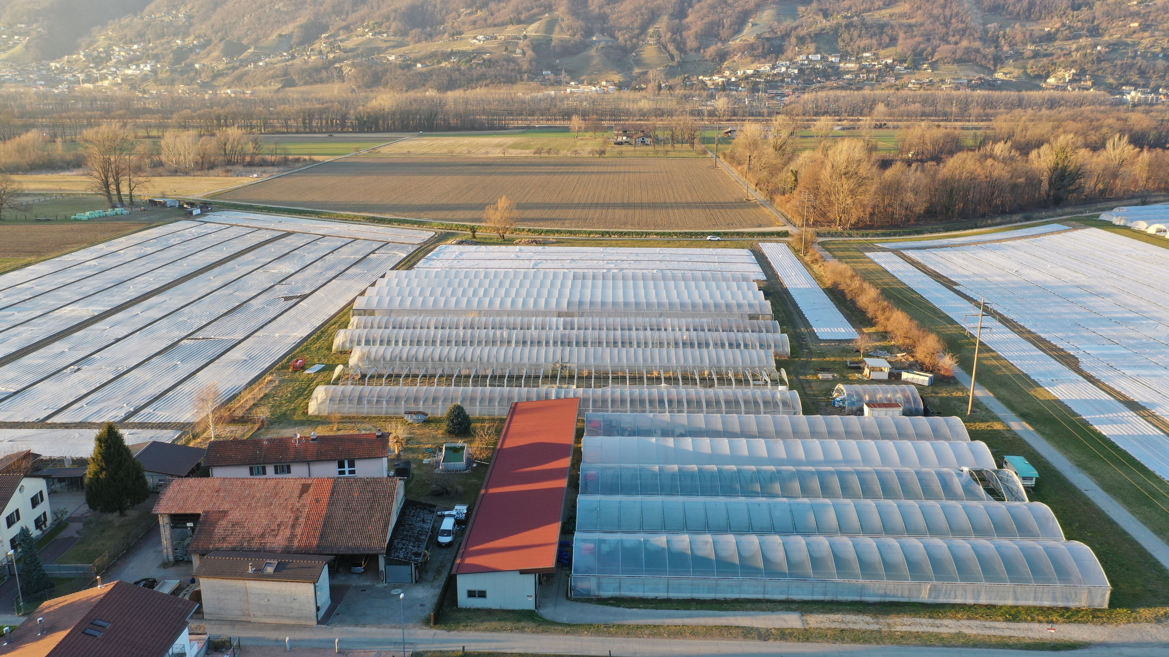 Bilder Azienda Agricola CATIBIO di Caritas Ticino