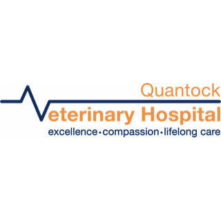 Quantock Veterinary Hospital Bridgwater 01278 450080