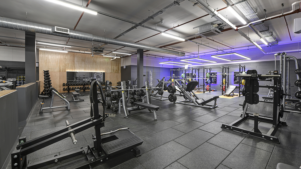 Free Weights Area